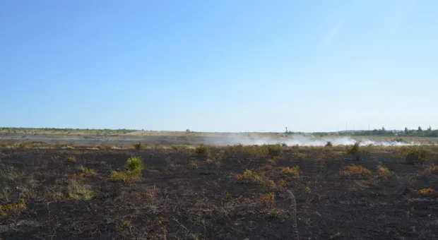 В Севастополе горели заброшенные виноградники