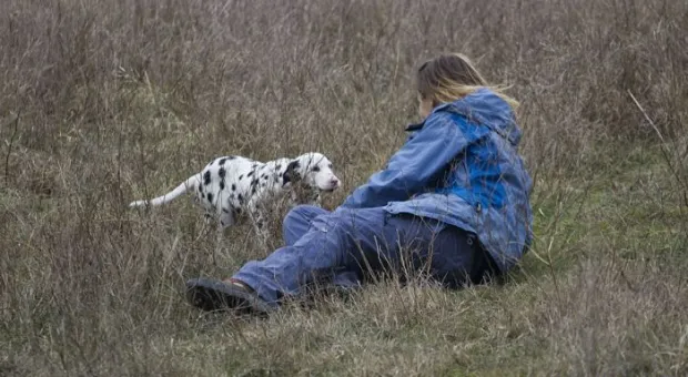 В Севастополе работает три отряда кинологов-спасателей