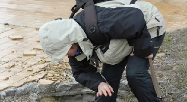 В Севастополе работает три отряда кинологов-спасателей