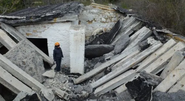 В Севастополе работает три отряда кинологов-спасателей