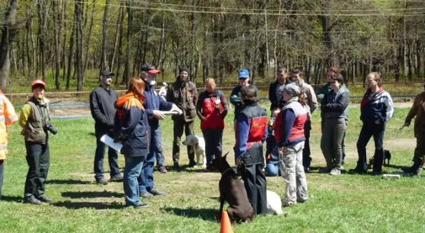 В Севастополе работает три отряда кинологов-спасателей