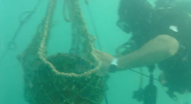 В Севастополе уничтожена полутонная немецкая авиабомба