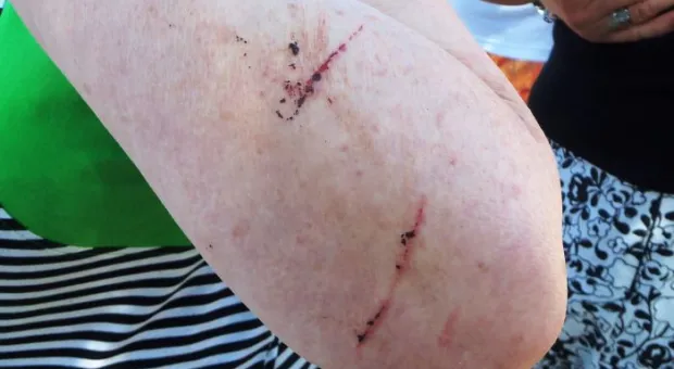 Стрелецкий бунт. Вчера предписание о сносе забора скандальной стройплощадки на Гавена вместо застройщика «выполнили» казаки и местные жители