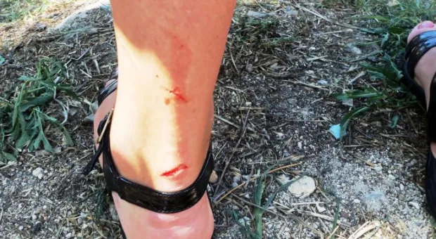 Стрелецкий бунт. Вчера предписание о сносе забора скандальной стройплощадки на Гавена вместо застройщика «выполнили» казаки и местные жители