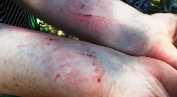 Стрелецкий бунт. Вчера предписание о сносе забора скандальной стройплощадки на Гавена вместо застройщика «выполнили» казаки и местные жители