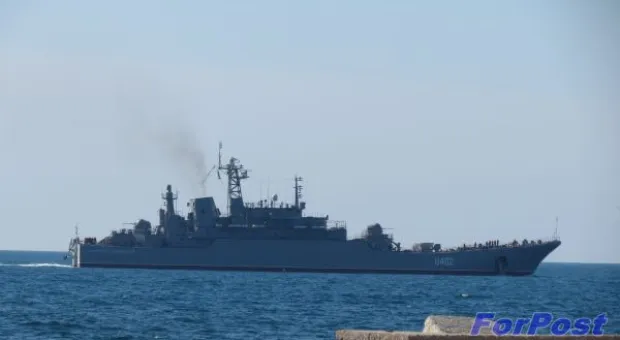 Морские пехотинцы Черноморского флота проводят тренировки по выводу боевой техники на воду с десантного корабля