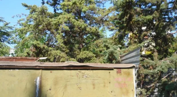 Война с жителями Севастополя разгорается. Очередной забор в сквере на «Лётчиках»