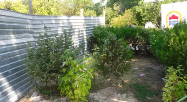 Война с жителями Севастополя разгорается. Очередной забор в сквере на «Лётчиках»