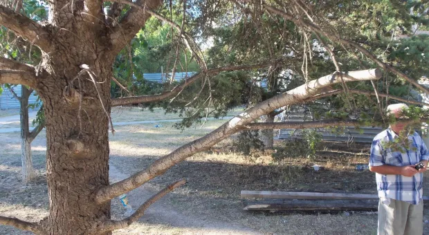 Крестовая отвёртка – главное оружие против уплотнительной застройки. В Севастополе жители разобрали очередной строительный забор