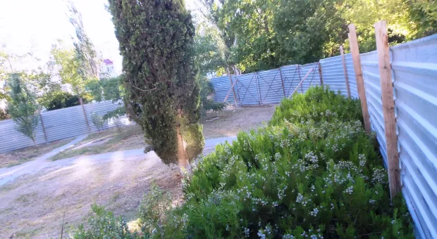 Крестовая отвёртка – главное оружие против уплотнительной застройки. В Севастополе жители разобрали очередной строительный забор