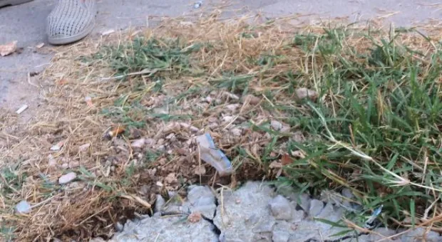 Крестовая отвёртка – главное оружие против уплотнительной застройки. В Севастополе жители разобрали очередной строительный забор