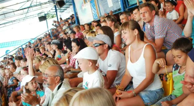 Будет ли в Севастополе дельфиний заповедник? В городе отметили Всемирный день китов и дельфинов