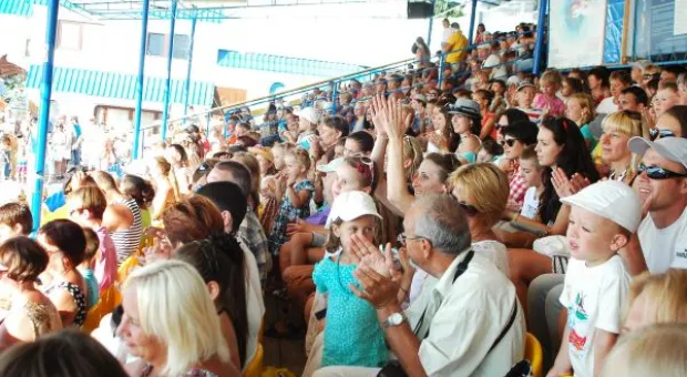 Будет ли в Севастополе дельфиний заповедник? В городе отметили Всемирный день китов и дельфинов