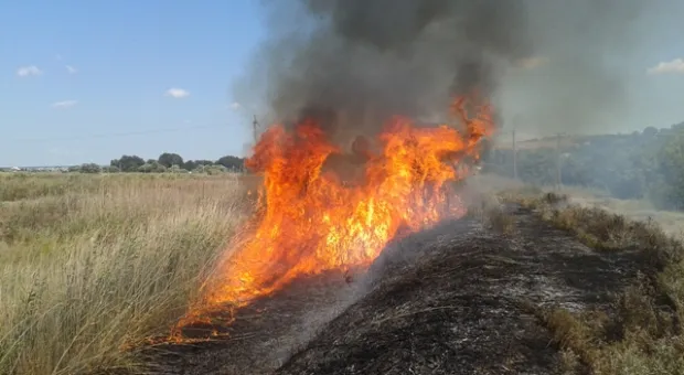 Под Севастополем, на пляже в Орловке загорелся камыш