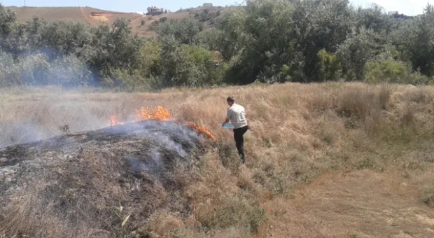 Под Севастополем, на пляже в Орловке загорелся камыш