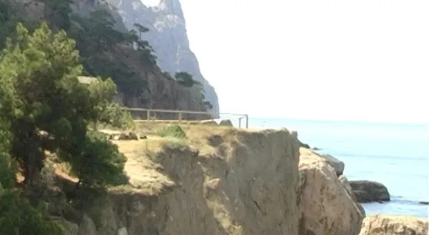 Мониторинг пляжей. Инжир в июле.