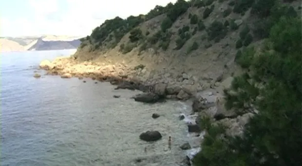 Мониторинг пляжей. Инжир в июле.