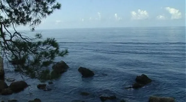 Мониторинг пляжей. Инжир в июле.