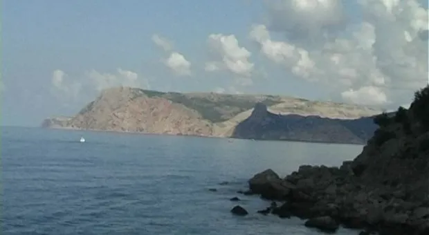 Мониторинг пляжей. Инжир в июле.