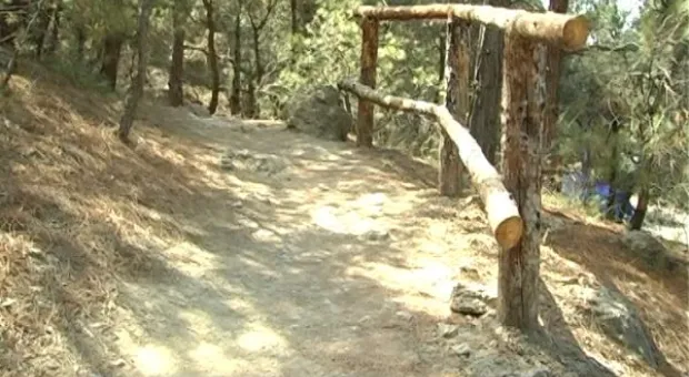 Мониторинг пляжей. Инжир в июле.