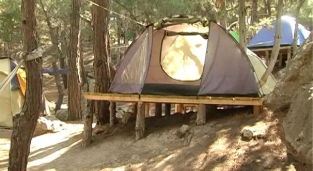 Мониторинг пляжей. Инжир в июле.