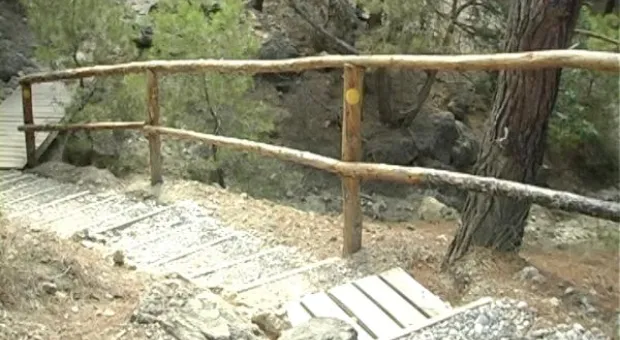 Мониторинг пляжей. Инжир в июле.