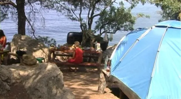 Мониторинг пляжей. Инжир в июле.