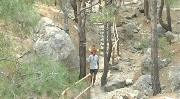 Мониторинг пляжей. Инжир в июле.