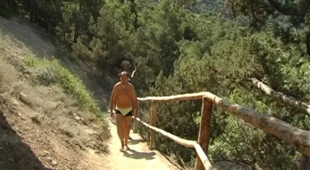 Мониторинг пляжей. Инжир в июле.