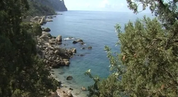 Мониторинг пляжей. Инжир в июле.