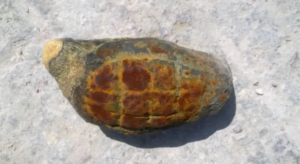 В Севастополе у памятника затопленным кораблям ребенок нашел... гранату