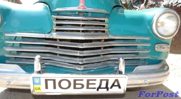 Три рекорда детского городка "Лукоморье"