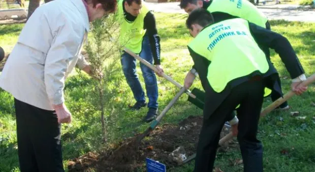 Кипарисовая «Аллея Славы» во имя героев Великой Отечественной войны появилась в Севастополе