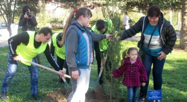 Кипарисовая «Аллея Славы» во имя героев Великой Отечественной войны появилась в Севастополе