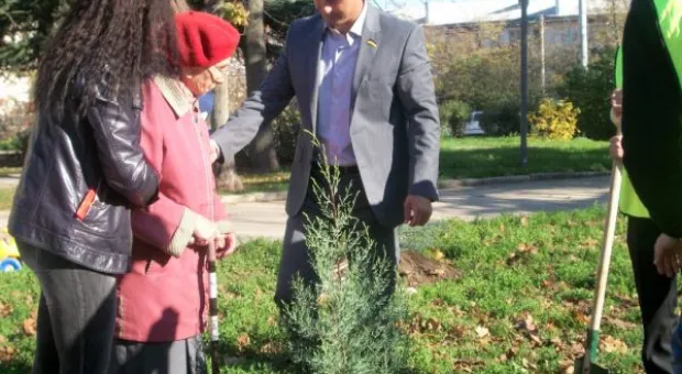 Кипарисовая «Аллея Славы» во имя героев Великой Отечественной войны появилась в Севастополе