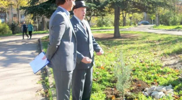 Кипарисовая «Аллея Славы» во имя героев Великой Отечественной войны появилась в Севастополе