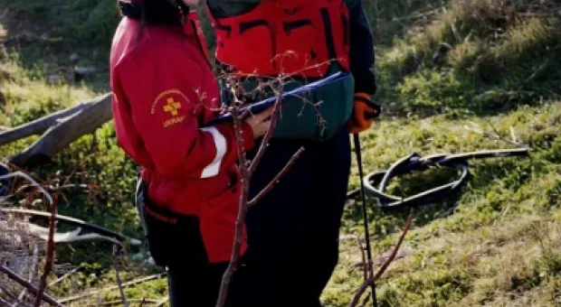 В Севастополе сдавали экзамены собаки-спасатели