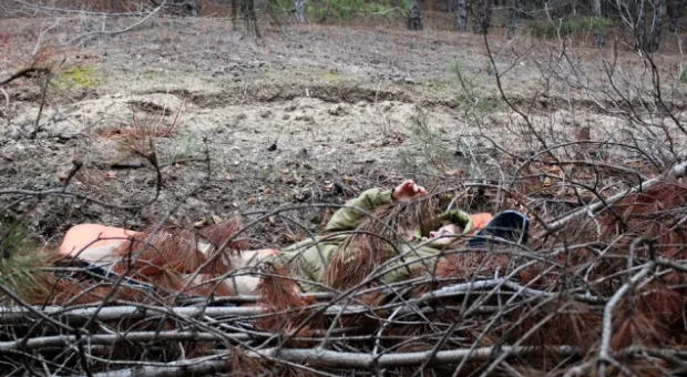 В Севастополе сдавали экзамены собаки-спасатели
