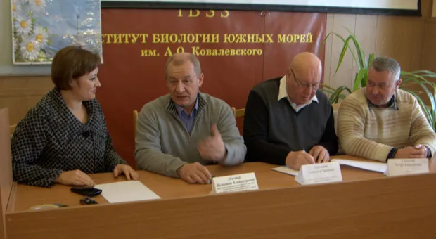 Как прописать "экзотов" в Севастополе и кто будет озеленять новострои? В городе прошел семинар ученых-дендрологов