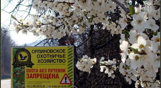 Накануне Референдума. Передовое. Акценты