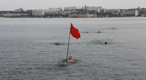 В Севастополь снова слетелись... моржи