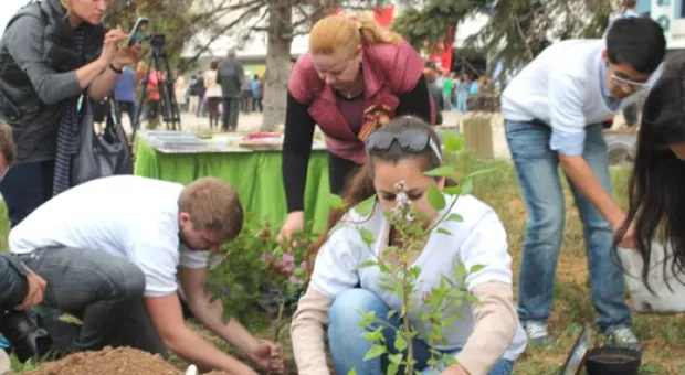 Ради жизни на Земле. В Севастополе открылся фестиваль
