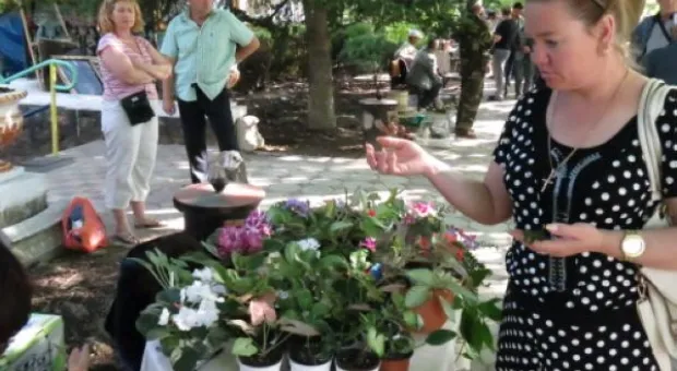 В Севастополе прошла первая российская выставка декоративных голубей и певчих птиц