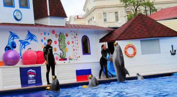 В Севастополе при поддержке партии «Единая Россия» состоялись благотворительные представления для детей