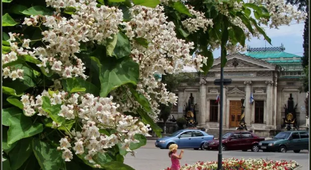 Жить светло и радостно не только три дня. О Дне города Севастополя...