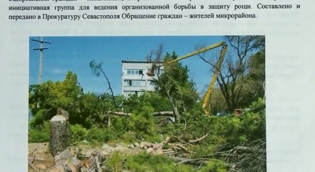Сосновая роща в Севастополе. Приговорена?