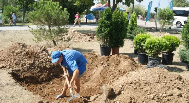 В парке Победы Севастополя заложили «Гагаринский сад» и презентовали «Аллею России»