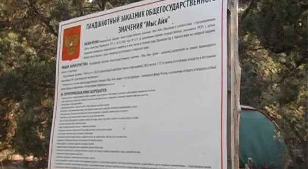 Инжир. Сезон в разгаре