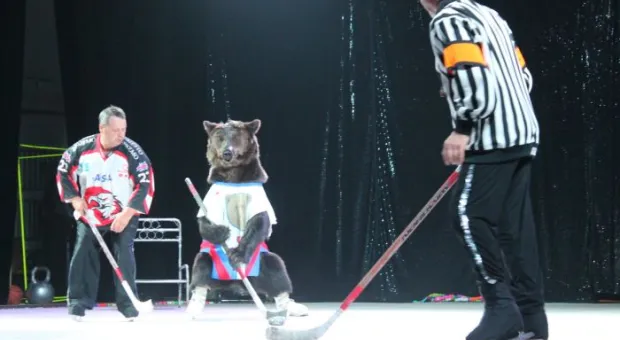 Цирк,цирк,цирк