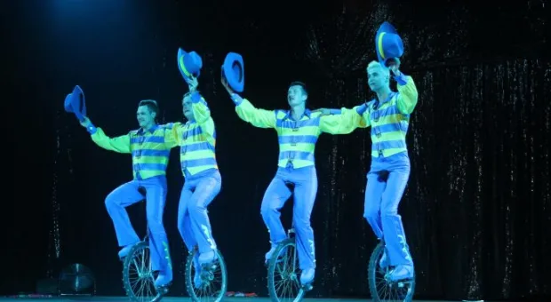 Цирк,цирк,цирк